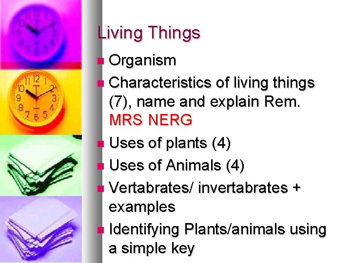 Mrs. Nerg Project Eolaocht 1 Key Words Revision Living Things Organism
