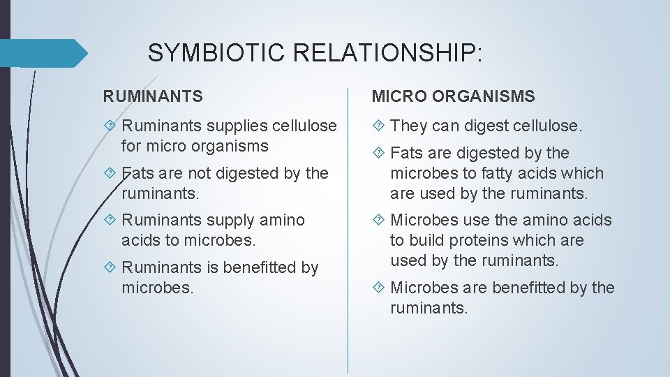SYMBIOTIC RELATIONSHIP: RUMINANTS MICRO ORGANISMS Ruminants supplies cellulose for micro organisms They can digest