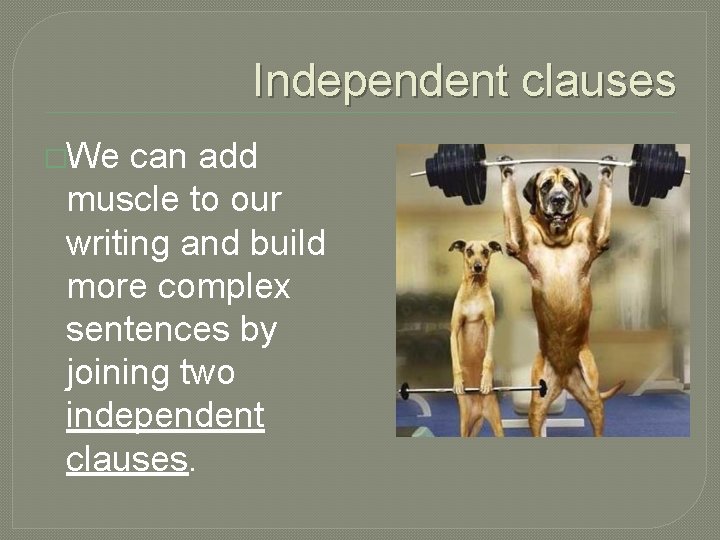 Independent clauses �We can add muscle to our writing and build more complex sentences