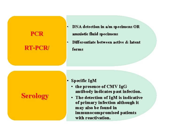 PCR RT-PCR/ Serology • DNA detection in a/m specimens OR amniotic fluid specimens •