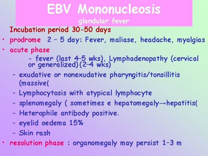 EBV Mononucleosis glandular fever Incubation period 30 -50 days • prodrome 2 – 5