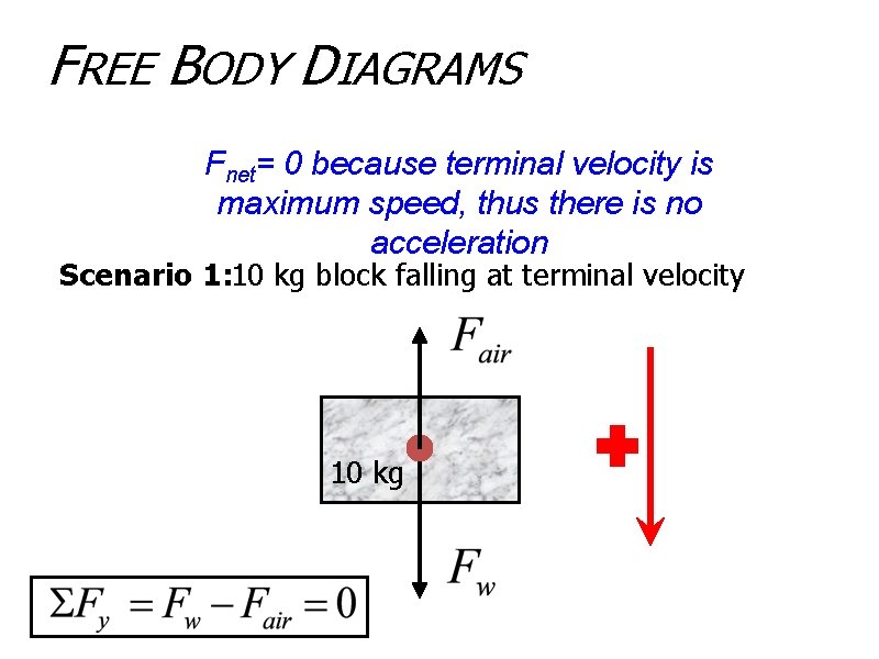 FREE BODY DIAGRAMS Fnet= 0 because terminal velocity is maximum speed, thus there is