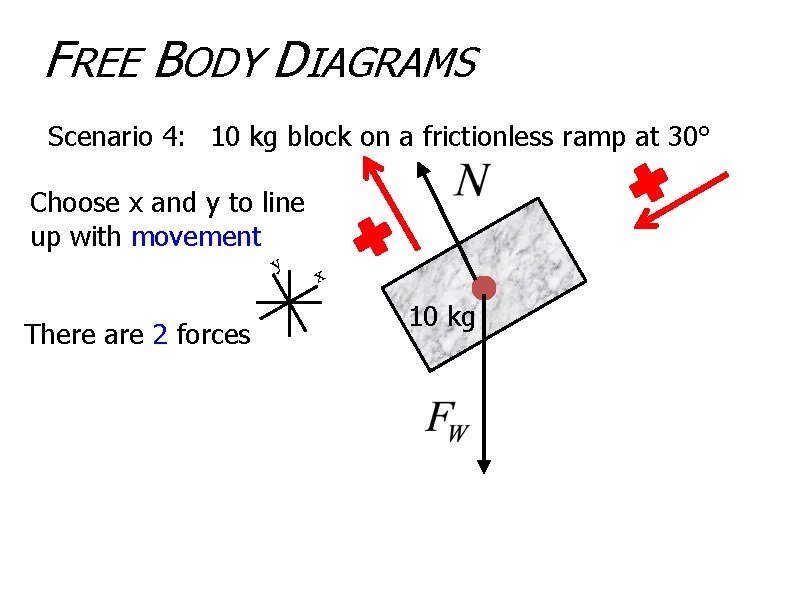FREE BODY DIAGRAMS Scenario 4: 10 kg block on a frictionless ramp at 30°