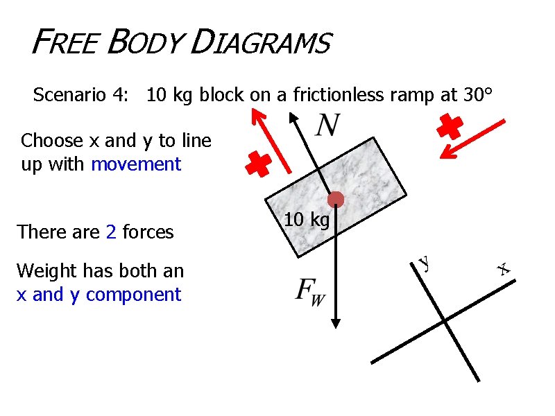 FREE BODY DIAGRAMS Scenario 4: 10 kg block on a frictionless ramp at 30°