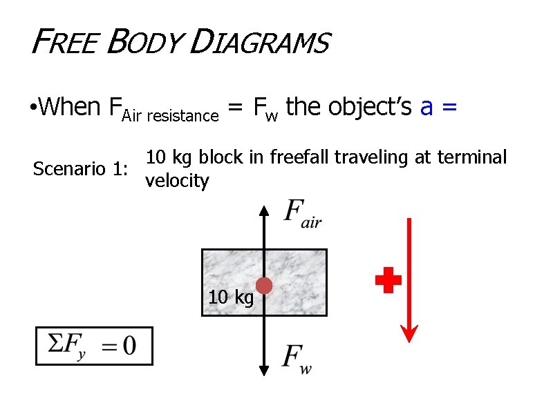 FREE BODY DIAGRAMS • When FAir resistance = Fw the object’s a = zero