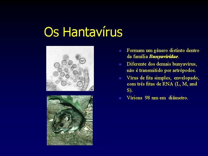 Os Hantavírus n n Formam um gênero distinto dentro da família Bunyaviridae. Diferente dos