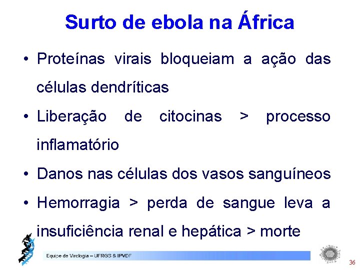 Surto de ebola na África • Proteínas virais bloqueiam a ação das células dendríticas