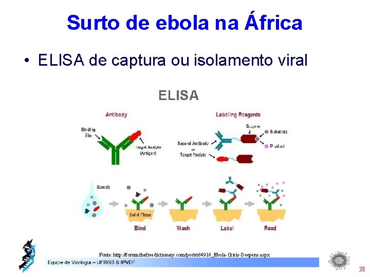 Surto de ebola na África • ELISA de captura ou isolamento viral Fonte: http: