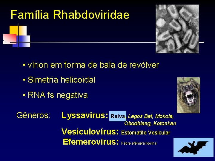 Família Rhabdoviridae • vírion em forma de bala de revólver • Simetria helicoidal •