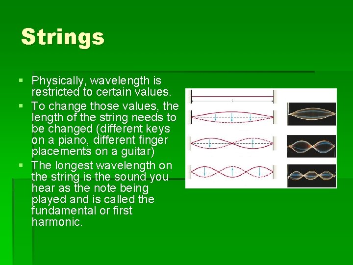 Strings § Physically, wavelength is restricted to certain values. § To change those values,