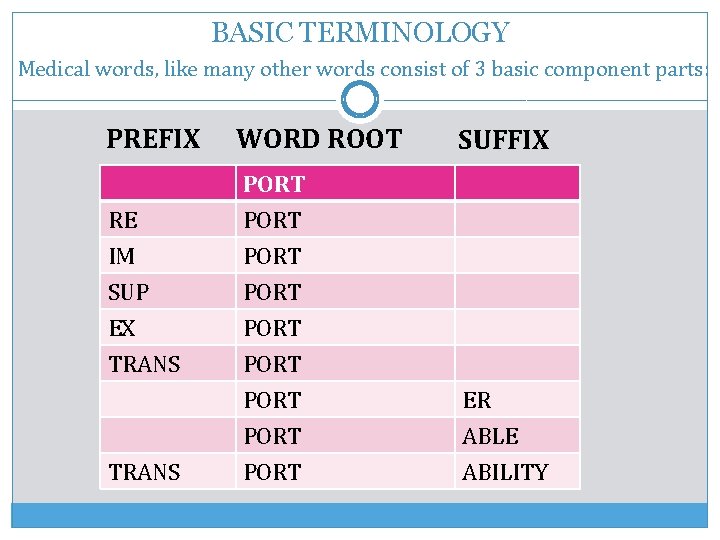 BASIC TERMINOLOGY Medical words, like many other words consist of 3 basic component parts:
