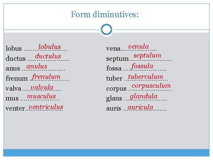 Form diminutives: lobulus lobus. . . ductulus ductus. . . anulus anus. . .