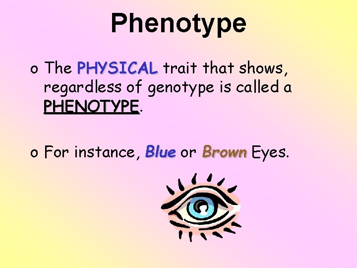 Phenotype o The PHYSICAL trait that shows, regardless of genotype is called a PHENOTYPE