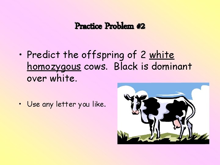 Practice Problem #2 • Predict the offspring of 2 white homozygous cows. Black is