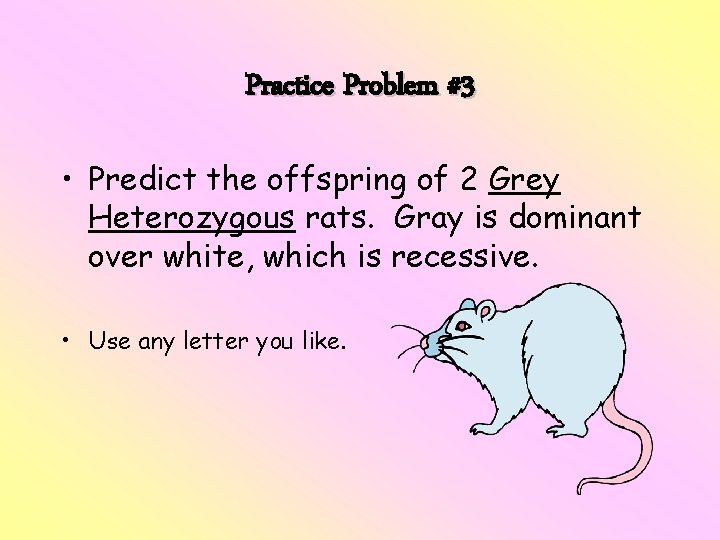 Practice Problem #3 • Predict the offspring of 2 Grey Heterozygous rats. Gray is