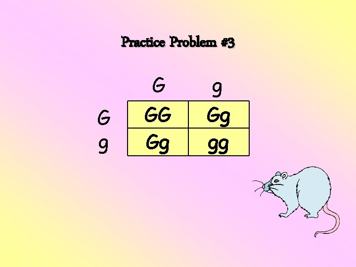 Practice Problem #3 G g G GG Gg gg 