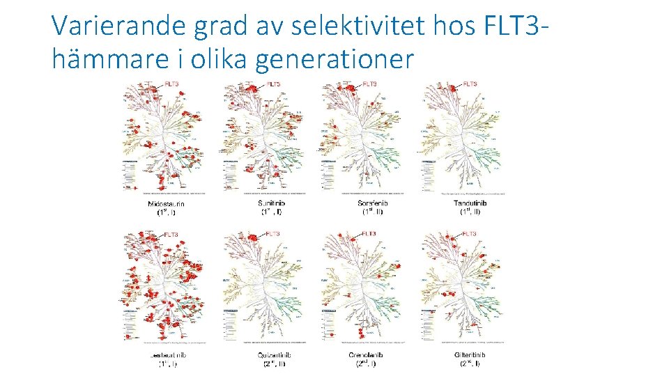 Varierande grad av selektivitet hos FLT 3 hämmare i olika generationer 