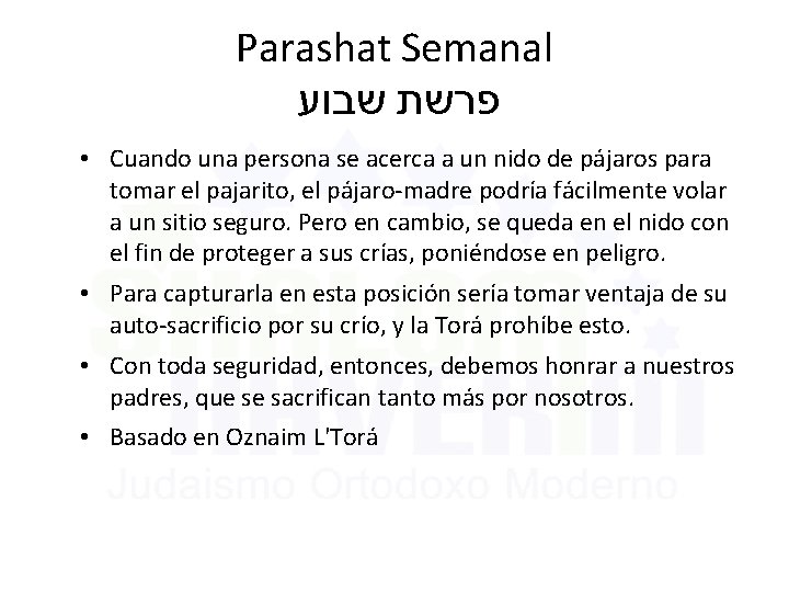 Parashat Semanal שבוע פרשת • Cuando una persona se acerca a un nido de