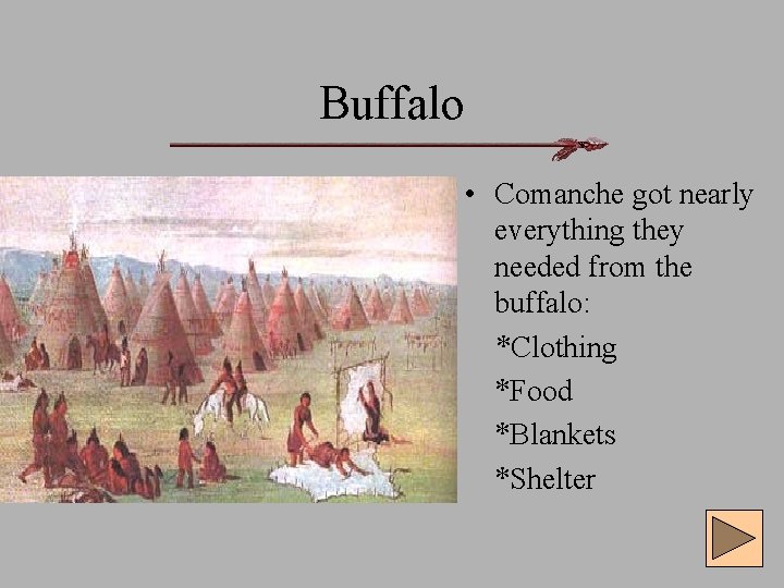 Buffalo • Comanche got nearly everything they needed from the buffalo: *Clothing *Food *Blankets