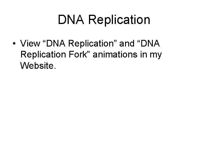 DNA Replication • View “DNA Replication” and “DNA Replication Fork” animations in my Website.