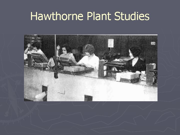 Hawthorne Plant Studies Hawthorne Plant Studies