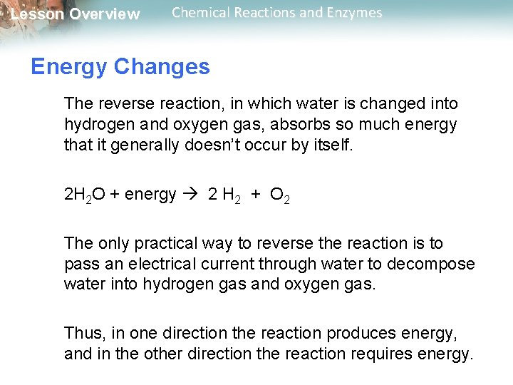 Lesson Overview Chemical Reactions and Enzymes Energy Changes The reverse reaction, in which water