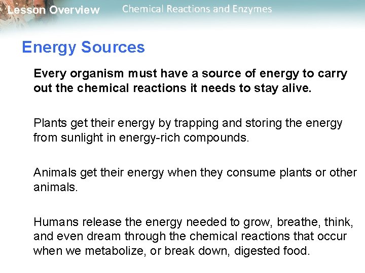 Lesson Overview Chemical Reactions and Enzymes Energy Sources Every organism must have a source