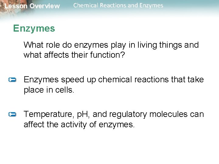 Lesson Overview Chemical Reactions and Enzymes What role do enzymes play in living things