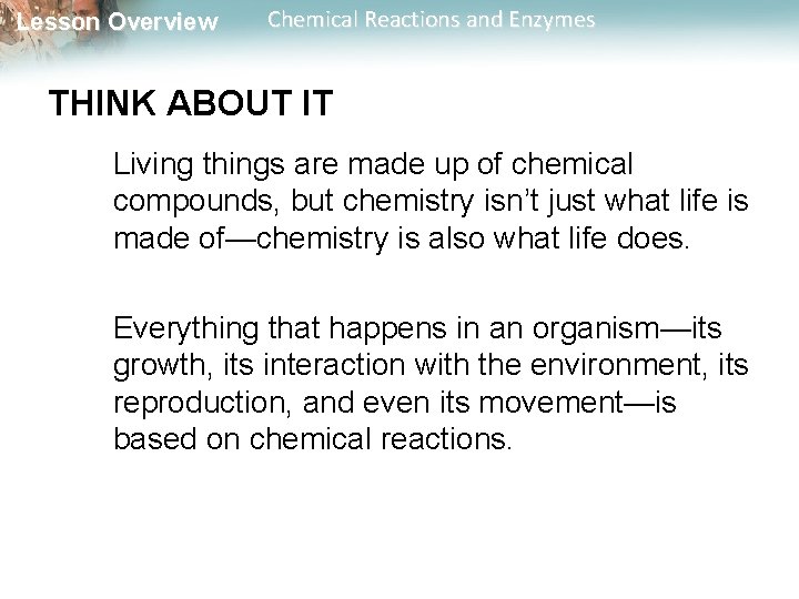 Lesson Overview Chemical Reactions and Enzymes THINK ABOUT IT Living things are made up