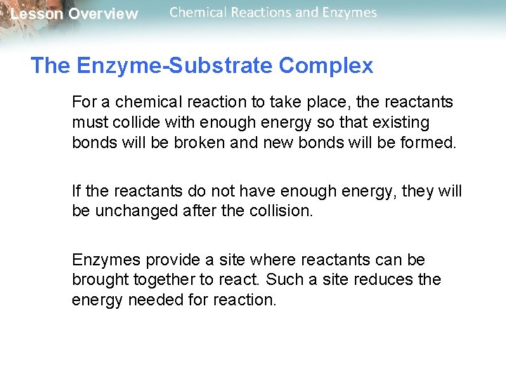 Lesson Overview Chemical Reactions and Enzymes The Enzyme-Substrate Complex For a chemical reaction to