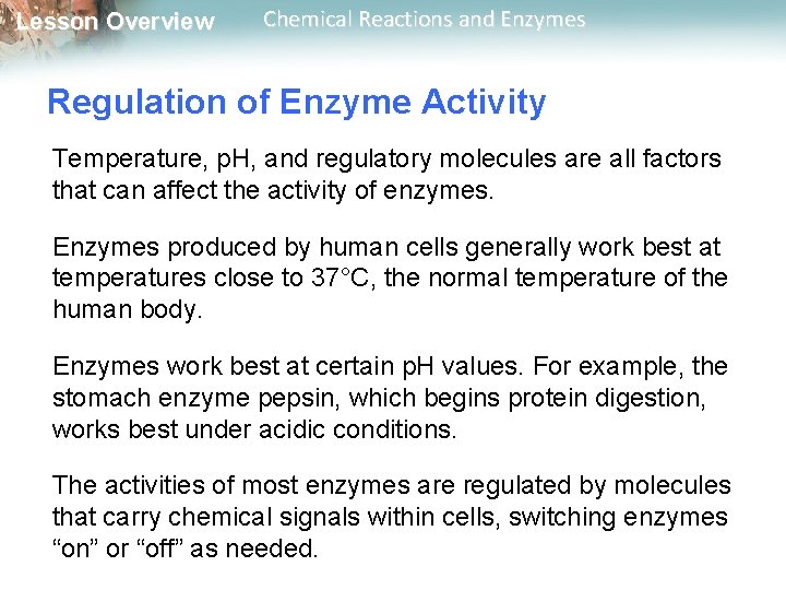 Lesson Overview Chemical Reactions and Enzymes Regulation of Enzyme Activity Temperature, p. H, and