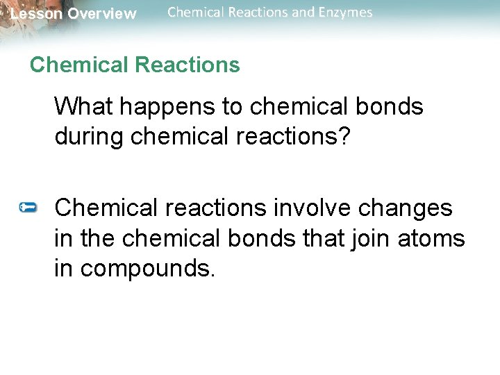 Lesson Overview Chemical Reactions and Enzymes Chemical Reactions What happens to chemical bonds during