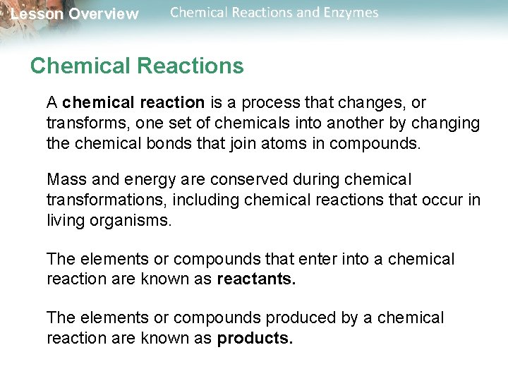 Lesson Overview Chemical Reactions and Enzymes Chemical Reactions A chemical reaction is a process