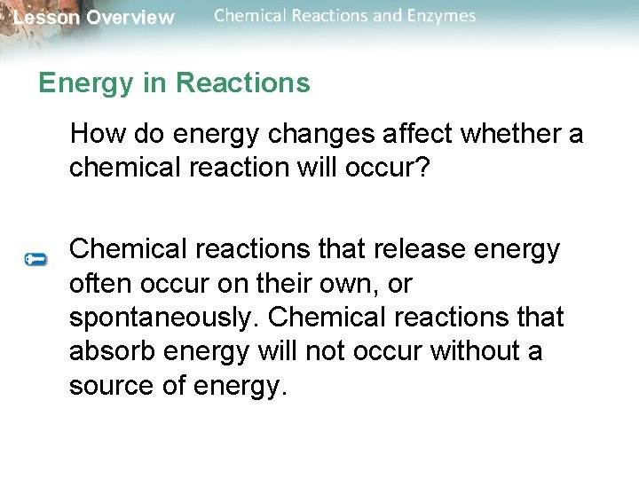 Lesson Overview Chemical Reactions and Enzymes Energy in Reactions How do energy changes affect