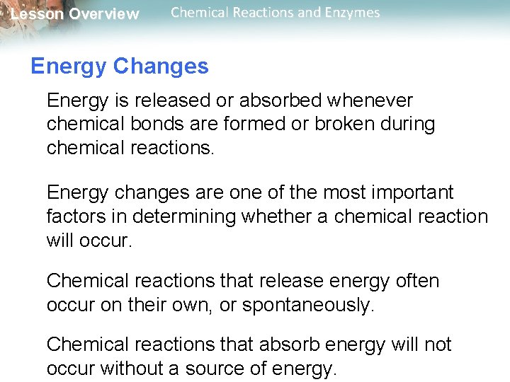 Lesson Overview Chemical Reactions and Enzymes Energy Changes Energy is released or absorbed whenever