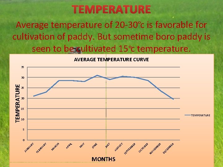 TEMPERATURE Average temperature of 20 -30 oc is favorable for cultivation of paddy. But