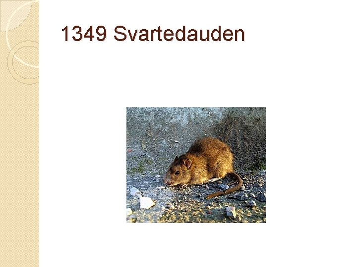 1349 Svartedauden 