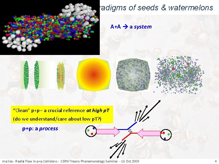 paradigms of seeds & watermelons A+A a system “Clean” p+p– a crucial reference at