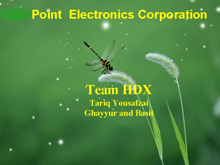 LOGO Point Electronics Corporation Team HDX Tariq Yousafzai Ghayyur and Basit 