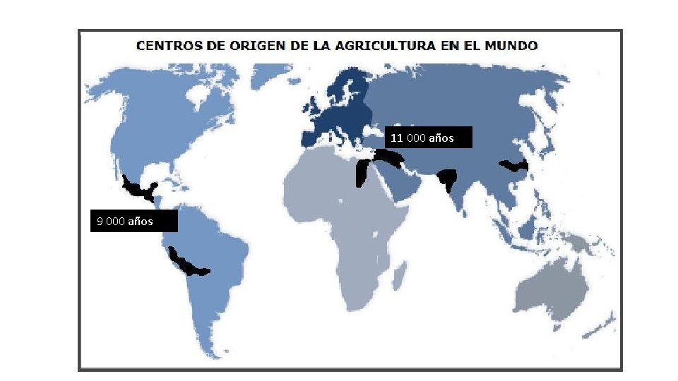 11 000 años 9 000 años 