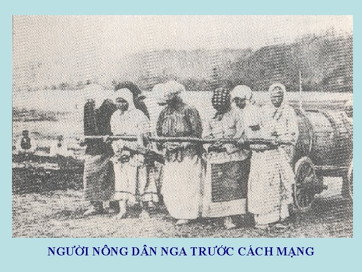 NGƯỜI NÔNG D N NGA TRƯỚC CÁCH MẠNG 