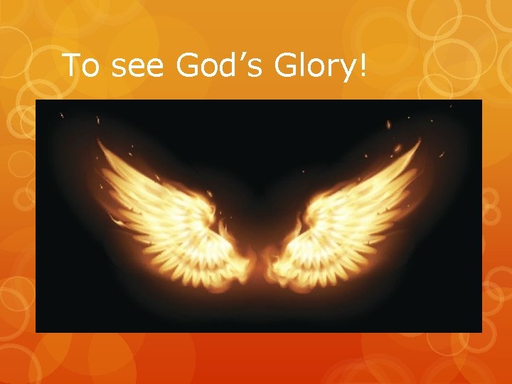 To see God’s Glory! 