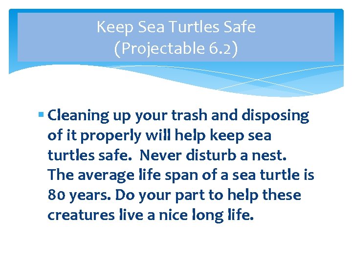 Keep Sea Turtles Safe (Projectable 6. 2) § Cleaning up your trash and disposing Keep Sea Turtles Safe (Projectable 6. 2) § Cleaning up your trash and disposing