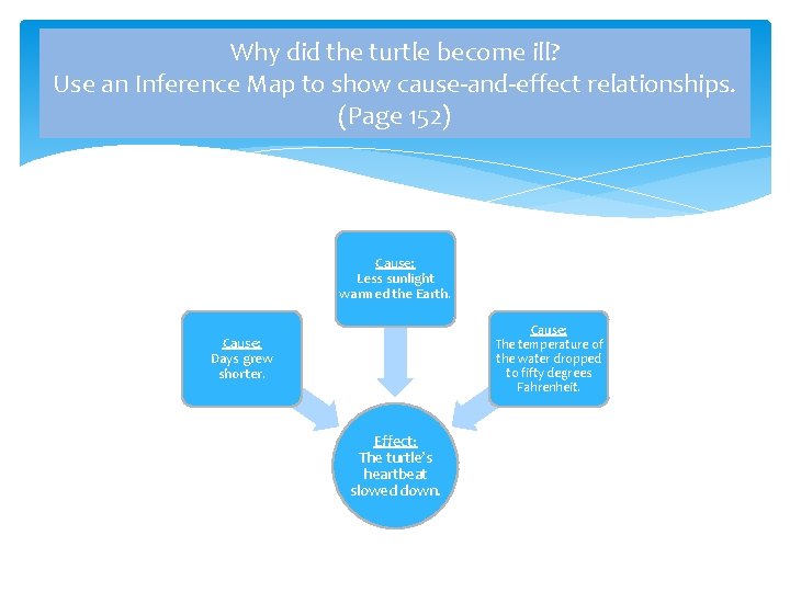 Why did the turtle become ill? Use an Inference Map to show cause-and-effect relationships. Why did the turtle become ill? Use an Inference Map to show cause-and-effect relationships.