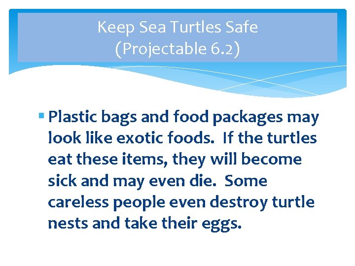 Keep Sea Turtles Safe (Projectable 6. 2) § Plastic bags and food packages may Keep Sea Turtles Safe (Projectable 6. 2) § Plastic bags and food packages may