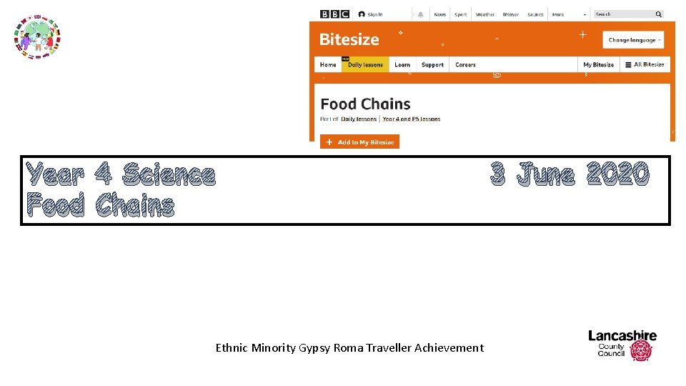 Year 4 Science Food Chains Ethnic Minority Gypsy Roma Traveller Achievement 3 June 2020 Year 4 Science Food Chains Ethnic Minority Gypsy Roma Traveller Achievement 3 June 2020