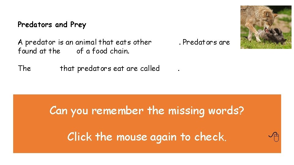 Predators and Prey A predator is an animal that eats other animals. Predators are Predators and Prey A predator is an animal that eats other animals. Predators are