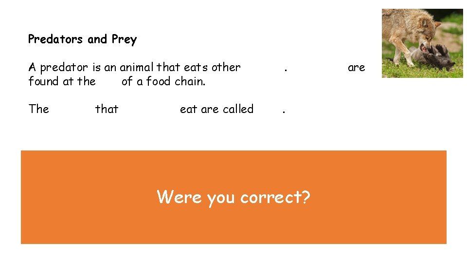 Predators and Prey A predator is an animal that eats other animals. Predators are Predators and Prey A predator is an animal that eats other animals. Predators are