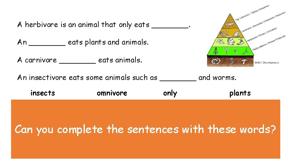 A herbivore is an animal that only eats ____. An ____ eats plants and A herbivore is an animal that only eats ____. An ____ eats plants and