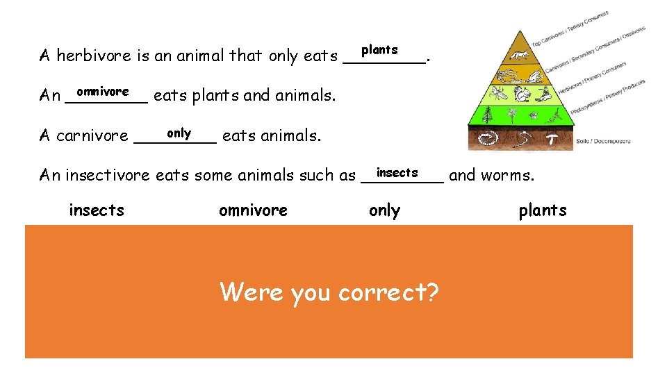 plants A herbivore is an animal that only eats ____. omnivore An ____ eats plants A herbivore is an animal that only eats ____. omnivore An ____ eats